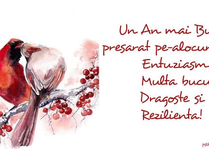 Gânduri la sfârşit de An!