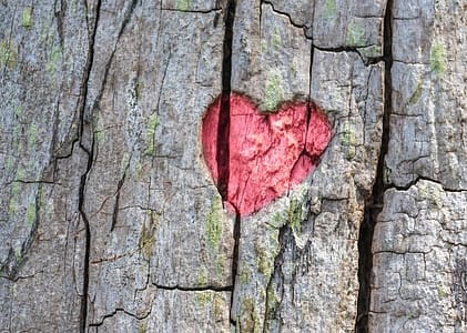 Cum faci faţă unei despărţiri complicate?