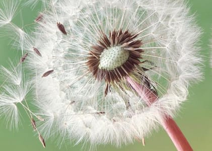 Terapia EMDR şi atacurile de panică