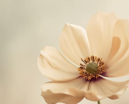 Când “terapia vorbită” își atinge limitele: despre potențialul terapiei EMDR